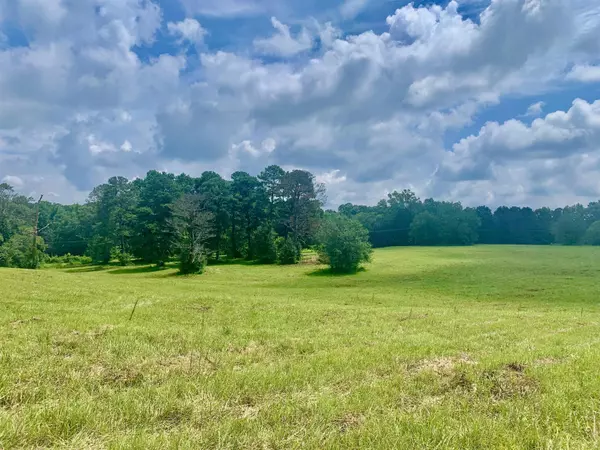 Griffin, GA 30223,0 Moore RD #LOT 2