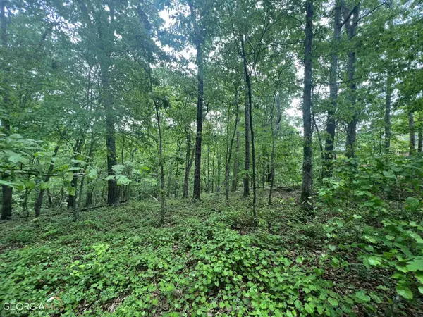 LOT 11 Berry Ridge CT, Cornelia, GA 30531