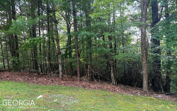 LOT 40 Double Knobs, Hayesville, NC 28904