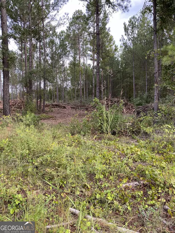 LOT 10 Tom Brown Rd.,  Sparta,  GA 31087