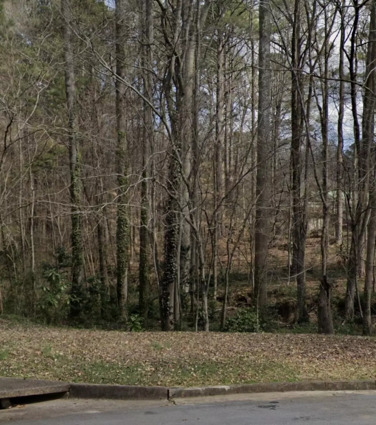 Stone Mountain, GA 30087,3121 Buckboard TRL