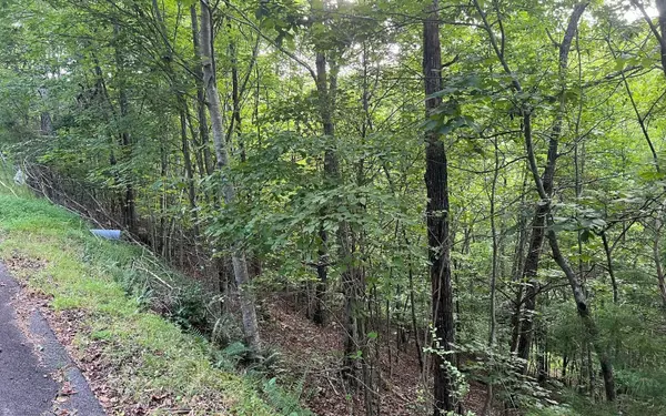 Brasstown, NC 28902,LOT 13 Preserve At Beach Mountain