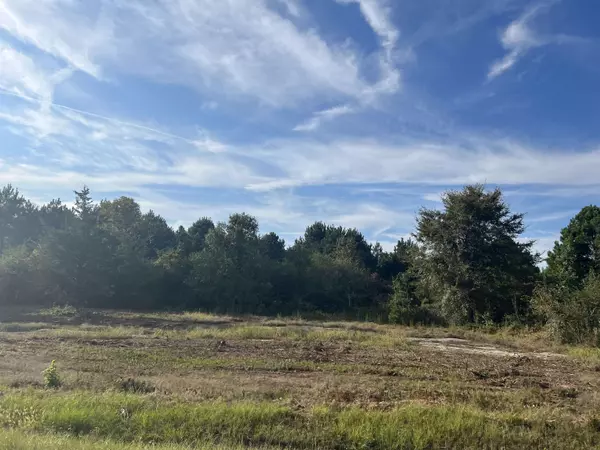 Loganville, GA 30052,LOT 8 Kent Rock RD