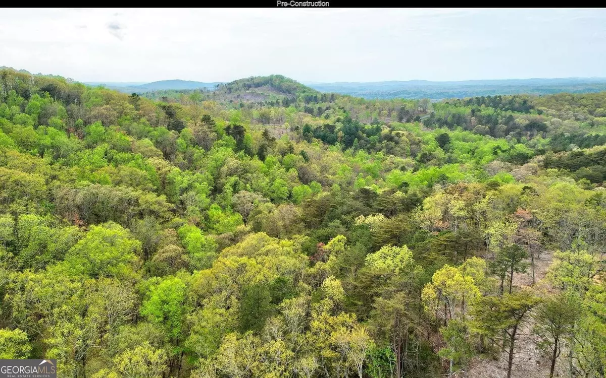 Ellijay, GA 30540,96 Vineyard At Yukon