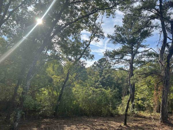 Loganville, GA 30052,LOT 10 Kent Rock RD