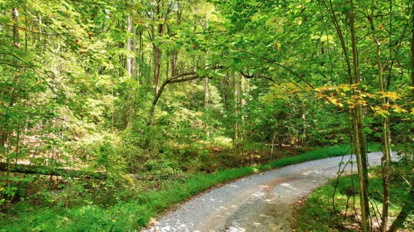 Ellijay, GA 30540,LOT 20 Big Ben Road