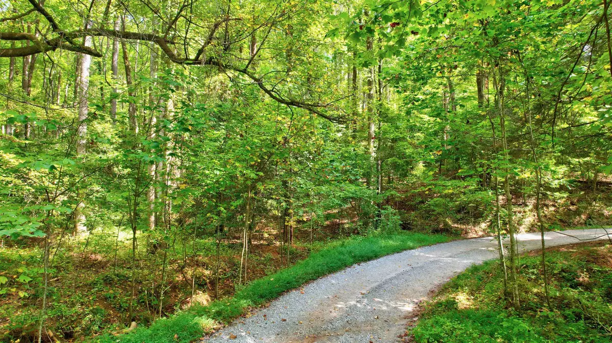 Ellijay, GA 30540,LOT 20 Big Ben Road