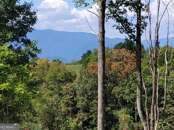 Scaly Mountain, NC 28775,000 High Meadows DR