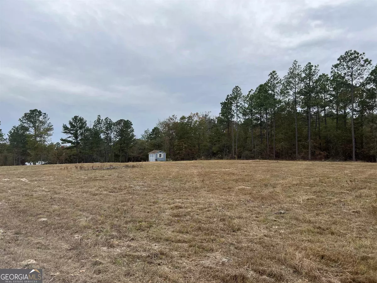 Mauk, GA 31058,253 Treadwell Ln