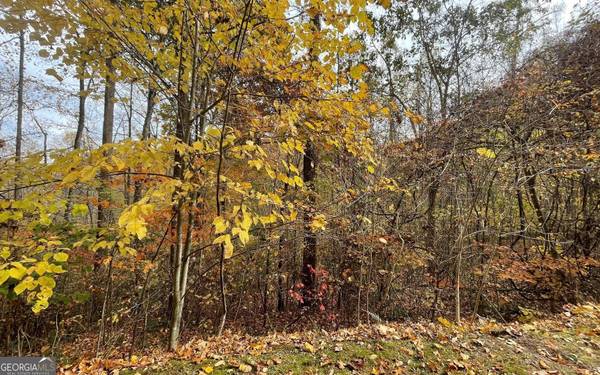 LOT 5A Ann's Lane, Hayesville, NC 28904