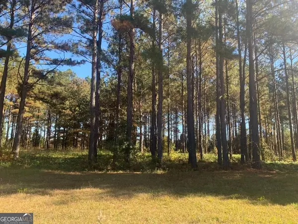 Fort Gaines, GA 39851,LOT 7 Jenny Lynn LN