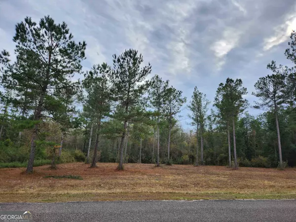 Kingsland, GA 31548,V/L 58 Catfish Landing CIR