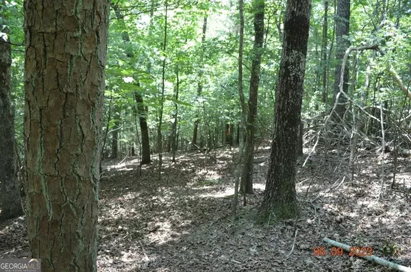 Ellijay, GA 30540,0 Malory CIR #LOT 1422