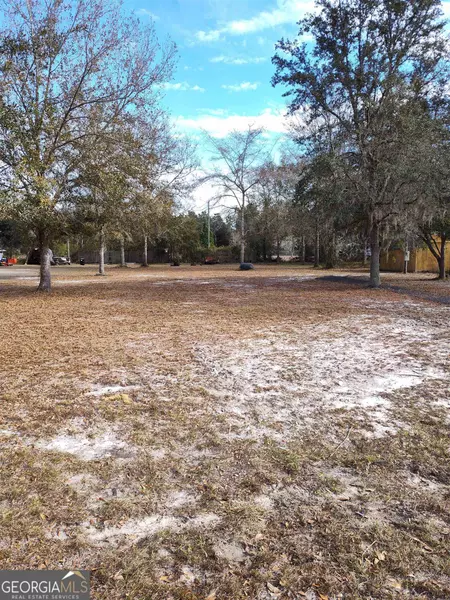 LOT #10 Palmhurst DR, Folkston, GA 31537