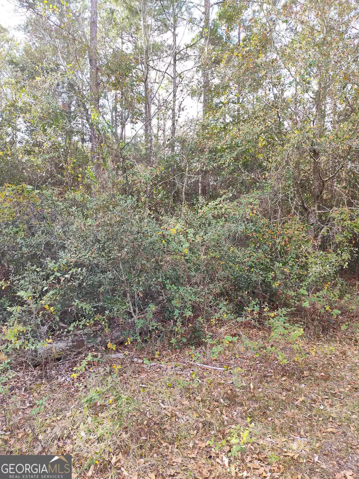 Folkston, GA 31537,LOT # 26 George Bell CT