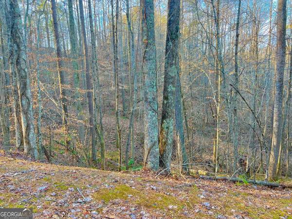 Talking Rock, GA 30175,00 Mountain Creek HOLW