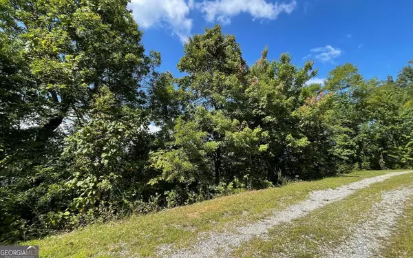 Hayesville, NC 28904,LOT 14 Mountain Harbour