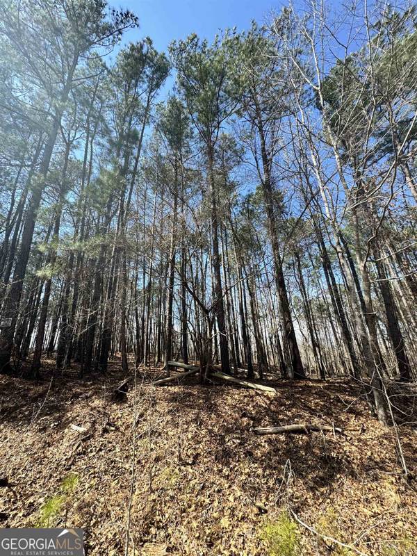 LOT 791 W Island Creek Drive, Sparta, GA 31087