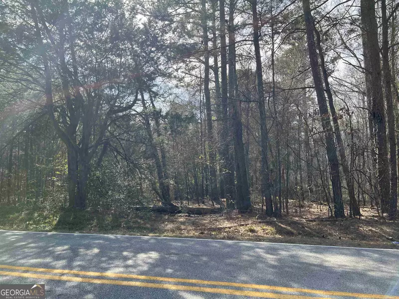 LOT 2 Guthrie Cemetery RD, Loganville, GA 30052