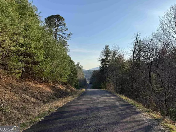 Rabun Gap, GA 30568,LOT 16 Smokey Hollow Drive #LOT 16