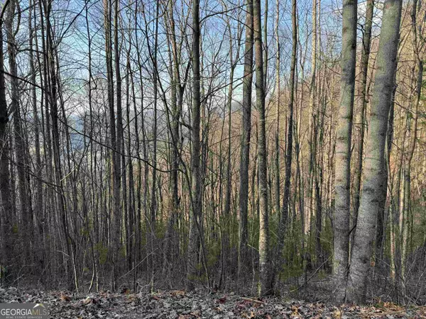 Rabun Gap, GA 30568,LOT 35 Mountain Ridge Drive #LOT 35