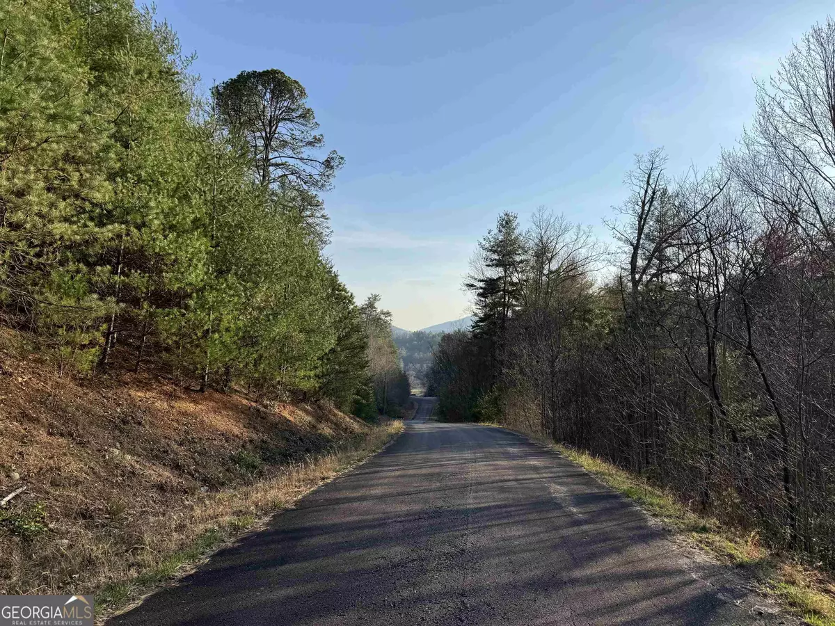 Rabun Gap, GA 30568,LOT 35 Mountain Ridge Drive #LOT 35