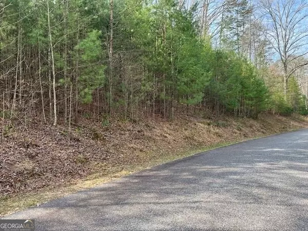 Blairsville, GA 30512,LOT 10 Lower Fox Trail RD