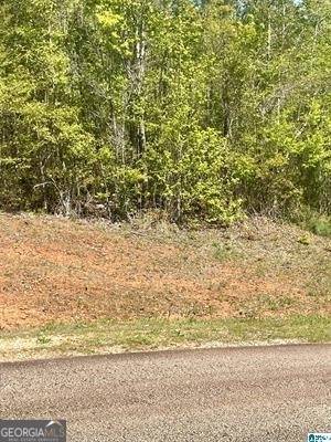 LOT 5 13th Court, Lanett, AL 36863