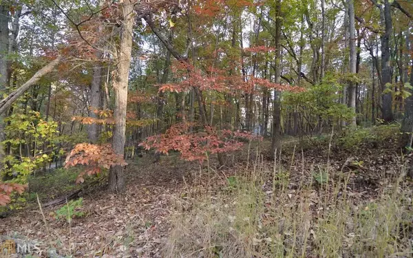 Blairsville, GA 30512,LOT 1 Serenity RDG