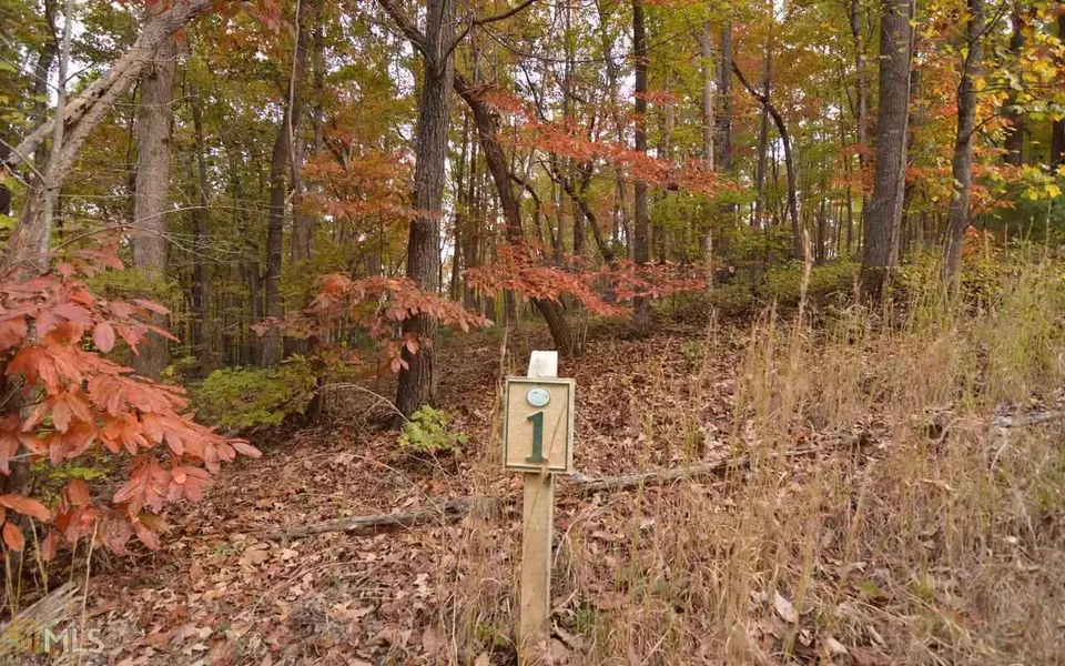 LOT 1 Serenity RDG, Blairsville, GA 30512