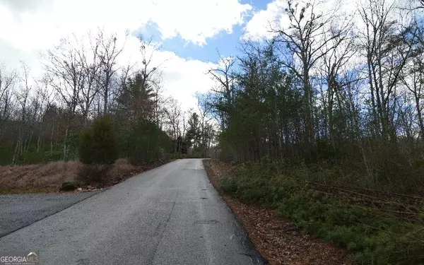 Blairsville, GA 30512,LOT 48 Laurel Brooke