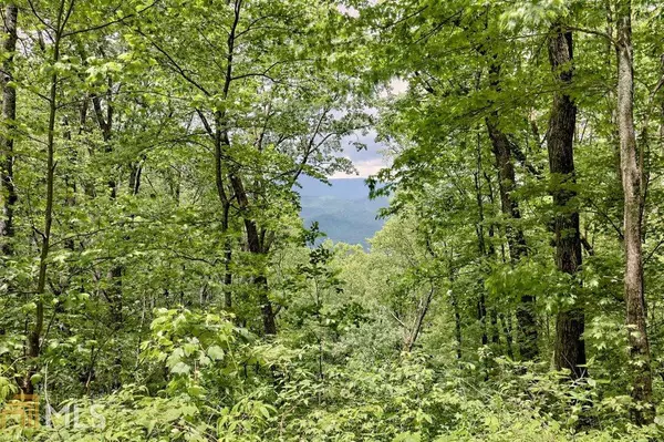 Rabun Gap, GA 30568,0 Deep Woods #LOT 9