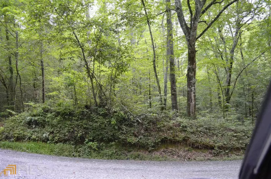 0 Maple Rest LN #LOT 3, Ellijay, GA 30540