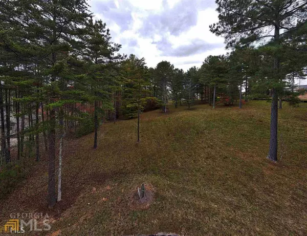 Blairsville, GA 30512,LOT 87 The Sanctuary #LOT 87