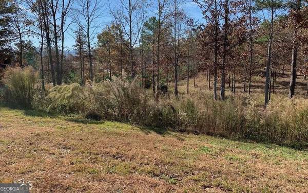 LOT 52 Northshore DR, Blairsville, GA 30512