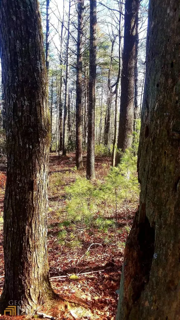 Ellijay, GA 30540,0 Wilderness TRL