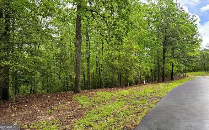 Warne, NC 28909,LOT 6 Brasstown Trails