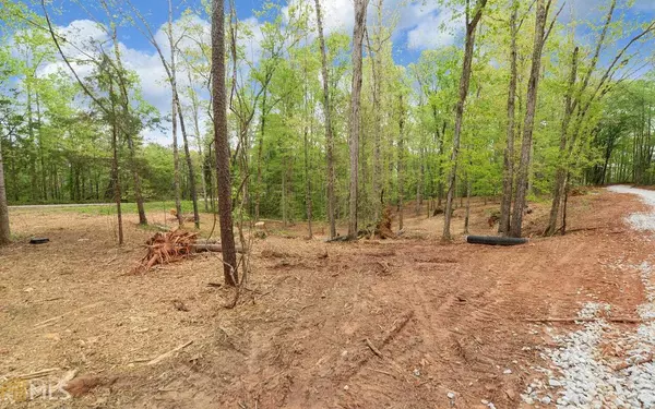 Lavonia, GA 30553,0 Walter WAY #LOT 1