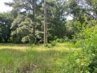 Sharpsburg, GA 30277,0 Orr RD #LOT 1