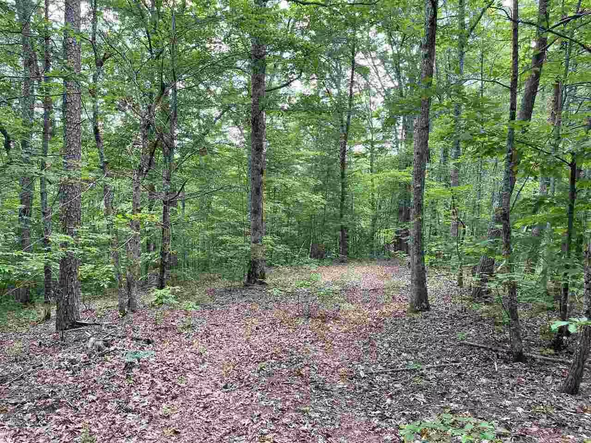 Mineral Bluff, GA 30559,0 Bear Mountain PASS #LOT 4