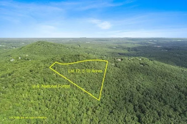 0 Little Eagle Mountain #12, Clarkesville, GA 30523