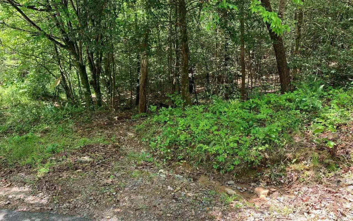 Murphy, NC 28906,0 Bobcat LN #LOTS