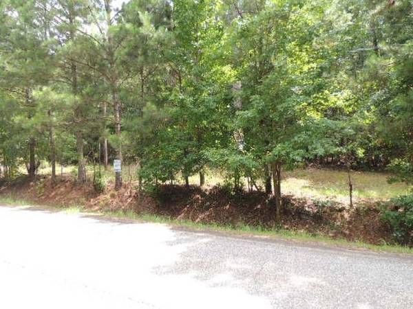 0 Durand HWY #3.07 AC, Warm Springs, GA 31830