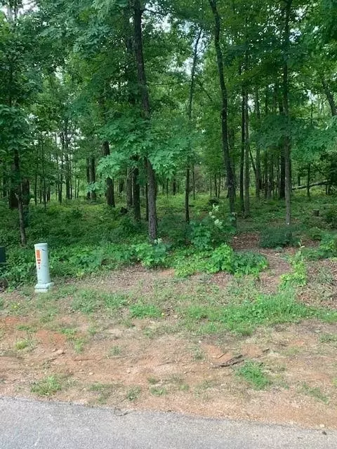 Hartwell, GA 30643,0 Spencer LN #LOT 3