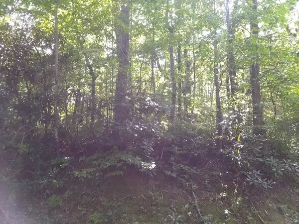 Sky Valley, GA 30537,0 Alpine DR #LOT 187