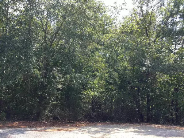 Wedowee, AL 36278,26A Cobbelstone DR #LOT 26A