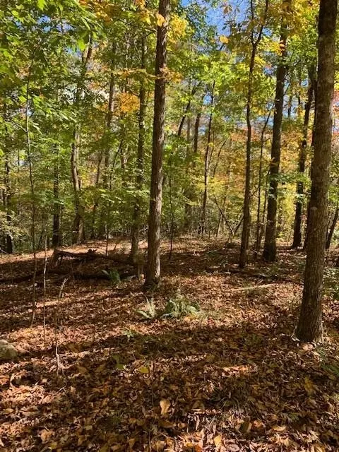 Dahlonega, GA 30533,0 Pine TRL #LOT 3