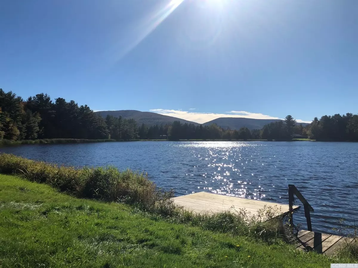 Jewett, NY 12444,222 Conifer Lake West