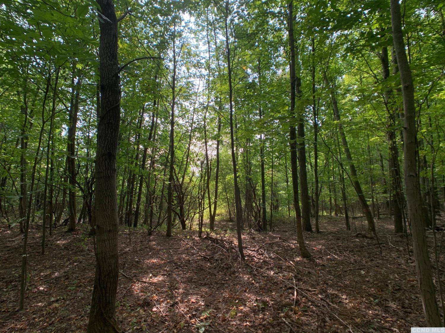 Canaan, NY 12060,0 County Route 9