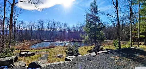 Jewett, NY 12444,58 Alpine WAY